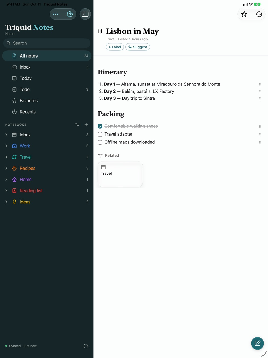 Triquid Notes on iPad in light mode: a travel itinerary with a packing list.